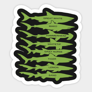 Shark Types Sticker